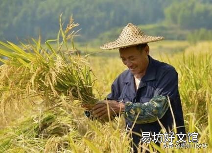 农村俗语：“立秋有雨丘丘收，立秋无雨人人忧”什么意思？