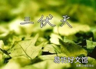 进入中伏大暑节气，农村老人说二伏要吃三种瓜、喝三种粥，指的是哪些呢？