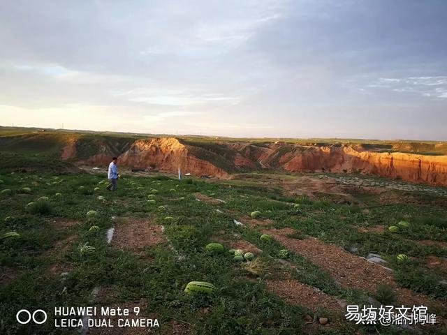 宁夏西瓜现在大量上市会对别的地方有影响吗?
