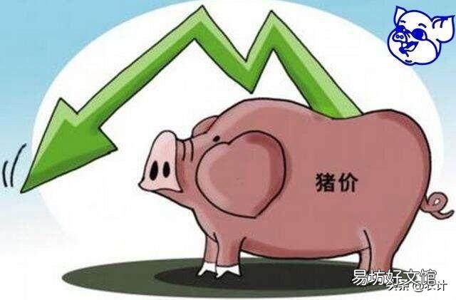 全国猪价已突破9元,为何西南地区却只有7元多,是因为非洲猪瘟还是另有隐情?
