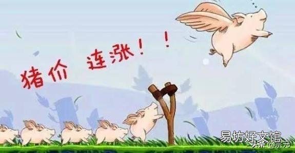 全国猪价已突破9元,为何西南地区却只有7元多,是因为非洲猪瘟还是另有隐情?