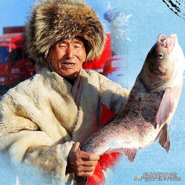 村里有一个自家的中型池塘，种植一些藕。如果养鱼，养无鳞鱼好？还是养有鳞鱼好？