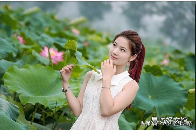 村里有一个自家的中型池塘，种植一些藕。如果养鱼，养无鳞鱼好？还是养有鳞鱼好？