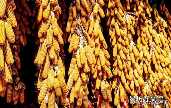 2019年下半年，糧價(jià)真的會(huì)漲嗎？