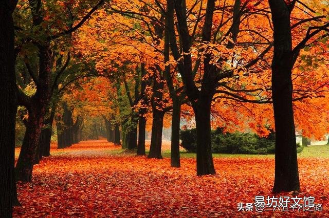 2019年下半年，糧價(jià)真的會(huì)漲嗎？