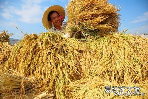 2019年下半年，糧價(jià)真的會(huì)漲嗎？