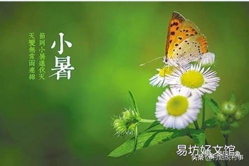 在农村，小暑为什么要吃黄鳝，小暑黄鳝赛人参是什么说法？