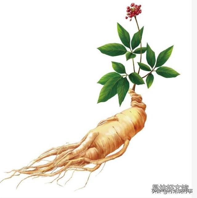 在农村，小暑为什么要吃黄鳝，小暑黄鳝赛人参是什么说法？