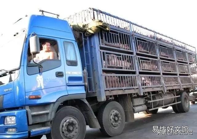 猪价跌多涨少,近期有些地方猪价为何持续下滑?