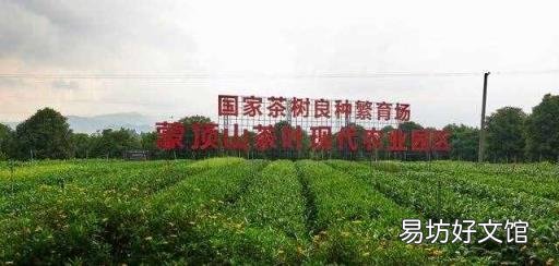 成都小礼品什么比较好 成都特色礼物