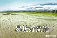 水稻插好秧后，什么时候施肥好？田间要怎么管理？