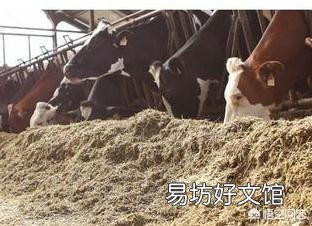你觉得红薯收获后剩下的红薯藤蔓有什么用处呢?