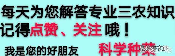 在农村，6月份可以吃的菜有哪些？