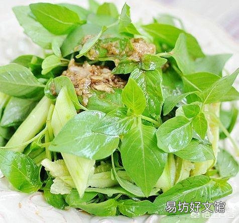 农村的菜园里,食用荆芥如何种植管理?