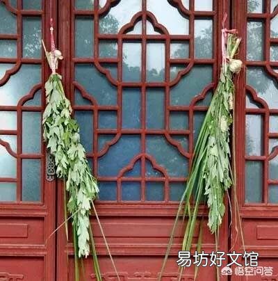 在农村哪三种人端午节家里不能悬挂艾草?
