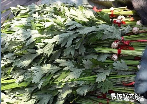 在农村哪三种人端午节家里不能悬挂艾草?