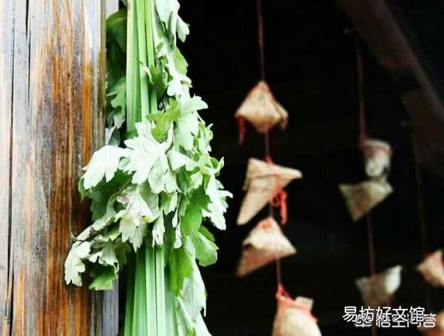 在农村哪三种人端午节家里不能悬挂艾草?