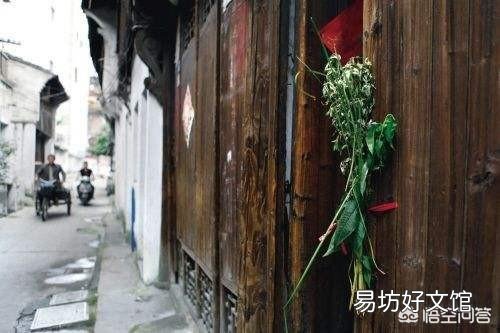 在农村哪三种人端午节家里不能悬挂艾草?