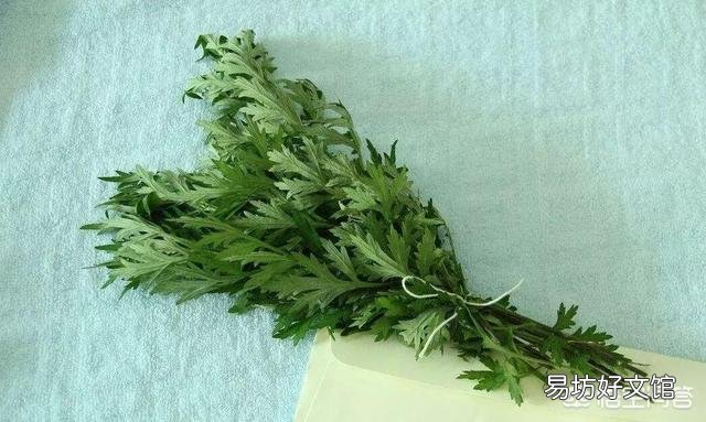 在农村哪三种人端午节家里不能悬挂艾草?
