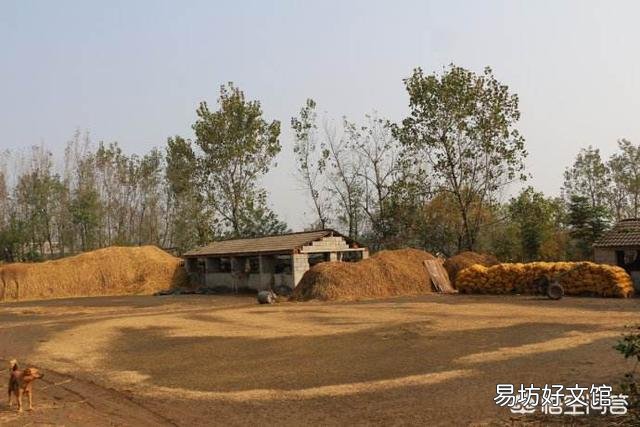 以前农村晒粮都有一个场院,现在场院为什么都没有了?
