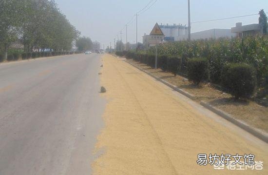 以前农村晒粮都有一个场院,现在场院为什么都没有了?