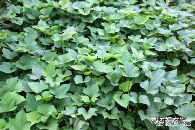 农民农产品如何经营才能让客户相信农产品品质有保证，才能买单？