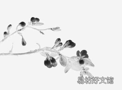 60岁是古稀还是花甲 古稀是多少岁