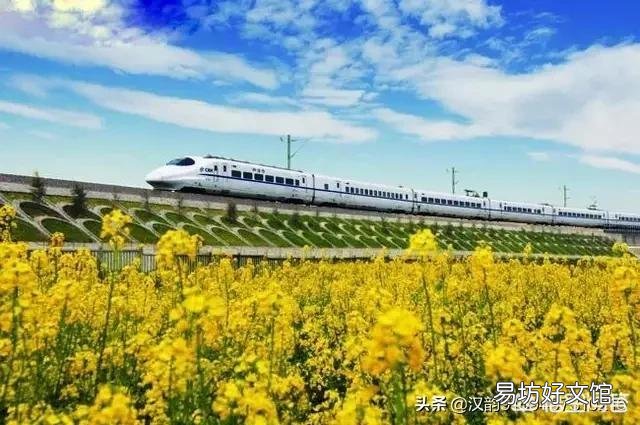 春天来了，哪里的油菜花最美？