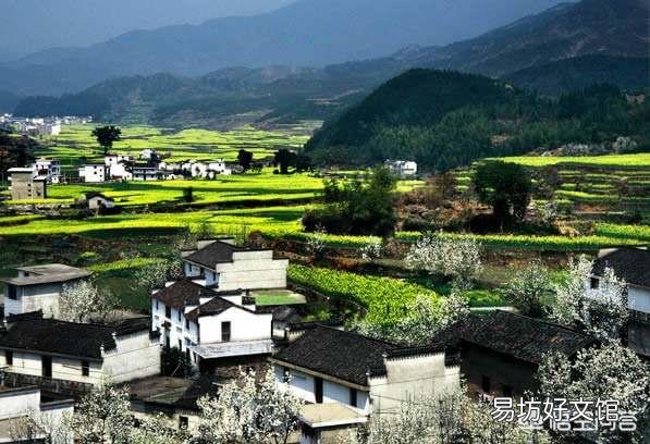 春天来了，哪里的油菜花最美？