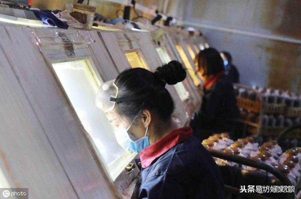 菌种保藏的常用方法 菌种保藏方法