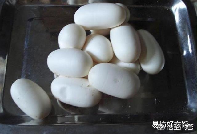 蛇蛋的营养价值比鸡蛋还要高,为什么农村人即使碰到蛇蛋也不吃呢?难道蛇蛋不能吃吗?