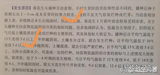 雨后种的花生都出芽了,还烂子是啥原因?