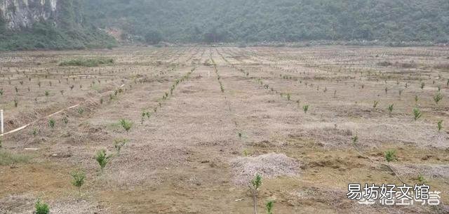 大量施用化肥会给土地带来哪些危害?