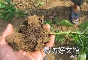 大量施用化肥会给土地带来哪些危害?