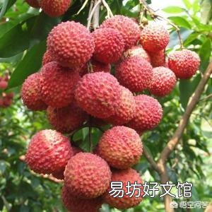 今年有些地区水果为什么比往年偏贵，什么原因导致？