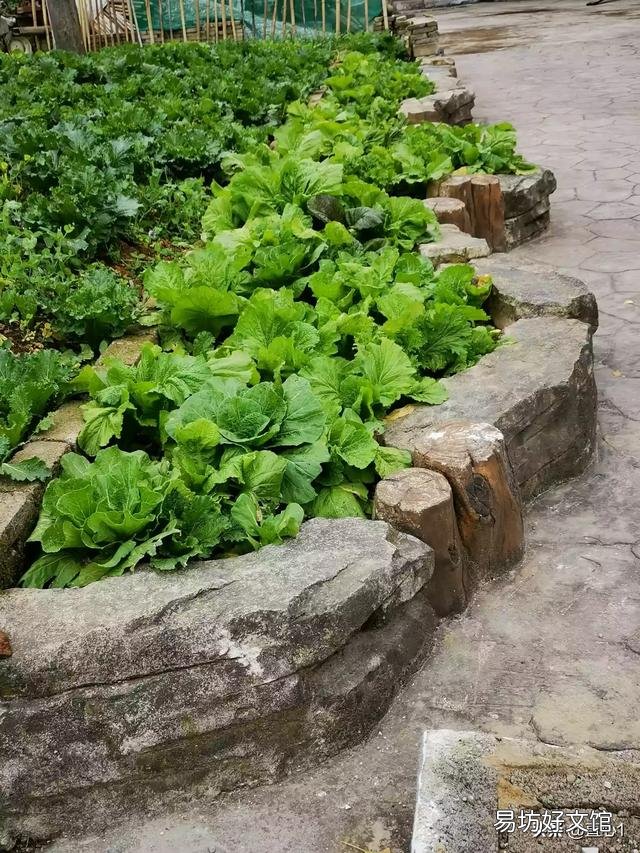 农村人喜欢用粪水给蔬菜粮食施肥,有院士称能吃?对此你怎么看?