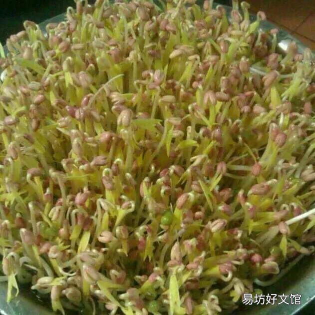 哪些蔬菜很少用农药?