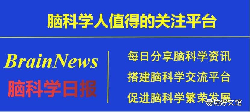 反射弧的基本结构和功能单位 反射弧的组成