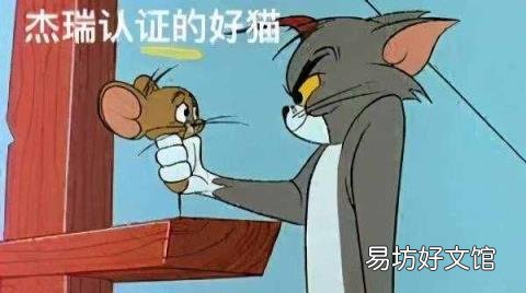 反射弧的基本结构和功能单位 反射弧的组成