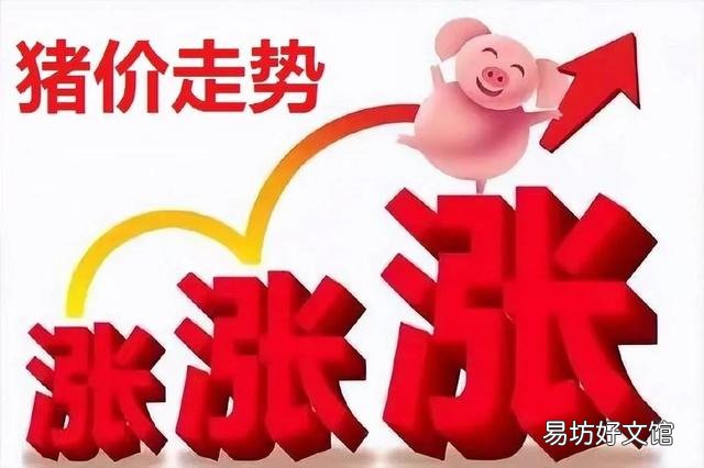 近日猪肉价格出现暴涨是怎么回事？