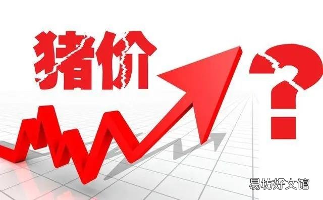 近日猪肉价格出现暴涨是怎么回事？