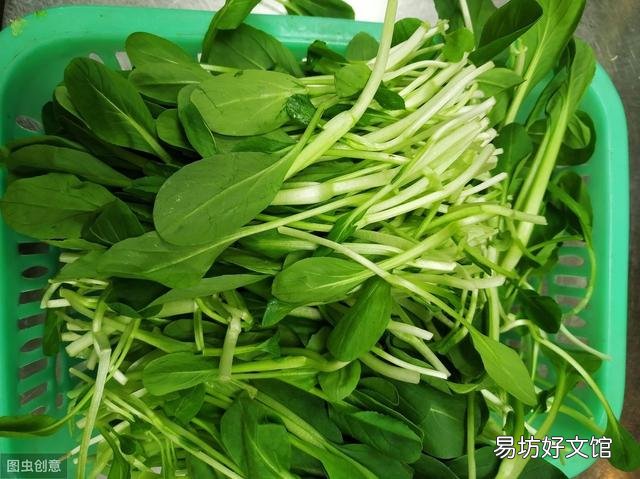 鸡毛菜是什么菜?如何种植?