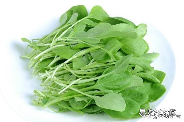 鸡毛菜是什么菜?如何种植?
