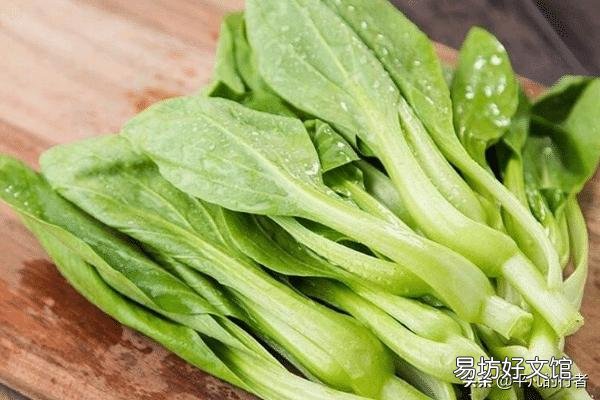 鸡毛菜是什么菜?如何种植?
