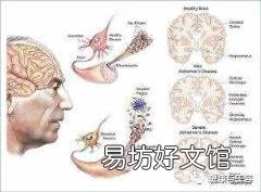学做脸的基础知识 美容知识