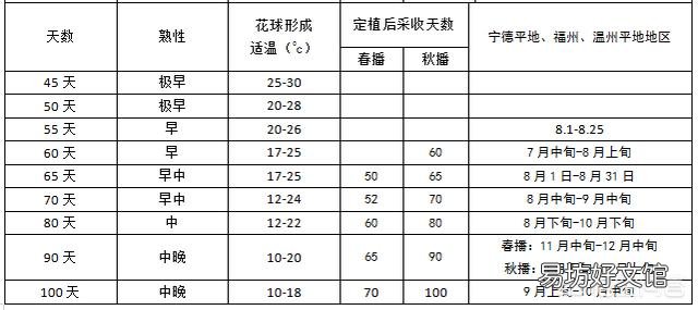 花菜种植什么季节播种?如何让花菜长得又圆又大?
