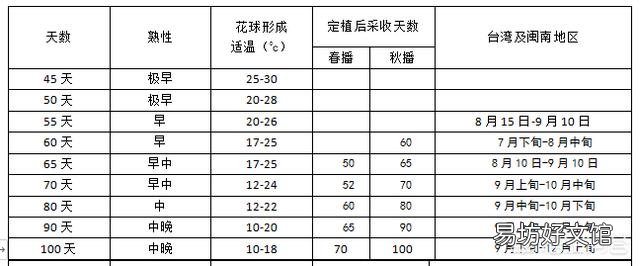 花菜种植什么季节播种?如何让花菜长得又圆又大?