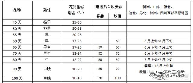 花菜种植什么季节播种?如何让花菜长得又圆又大?