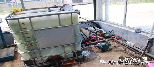 番茄怎样种植才能高产?