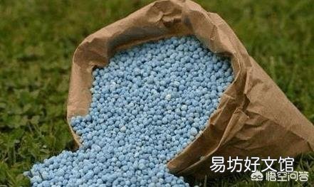 辣椒种植用什么肥好?